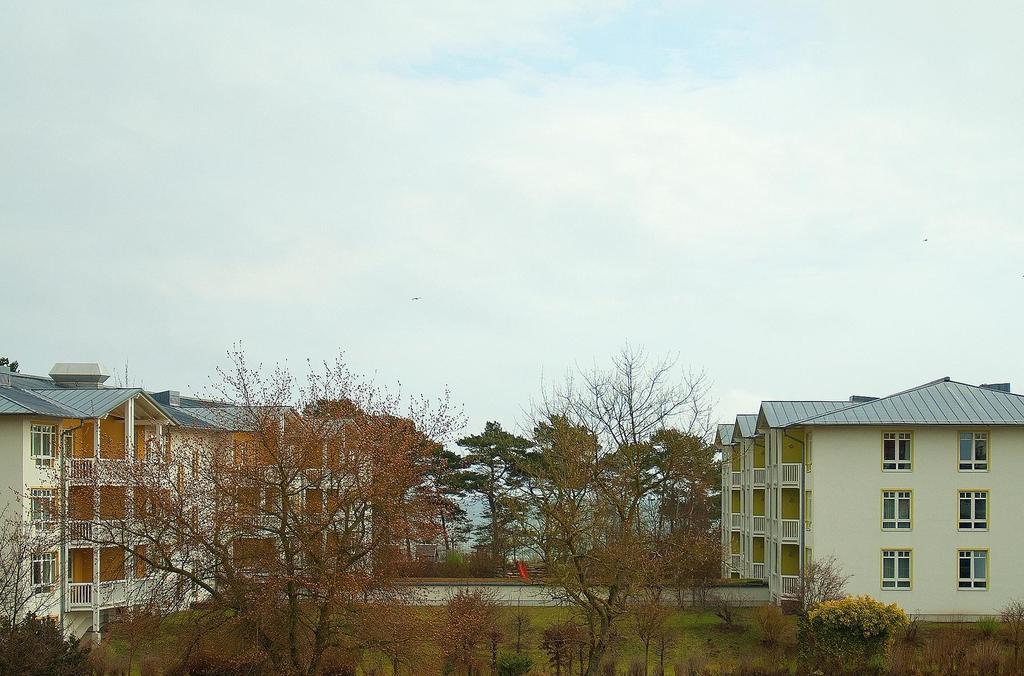 Apartment Dune 68 宾茨 外观 照片